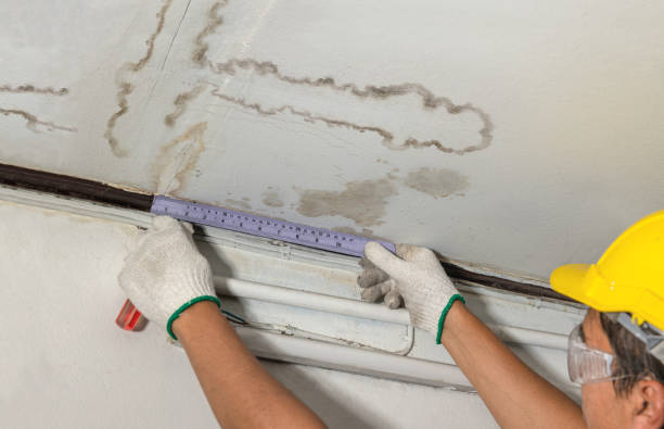 Reliable Water Removal contractor in Point Pleasant, WV by Water Damage Irwin